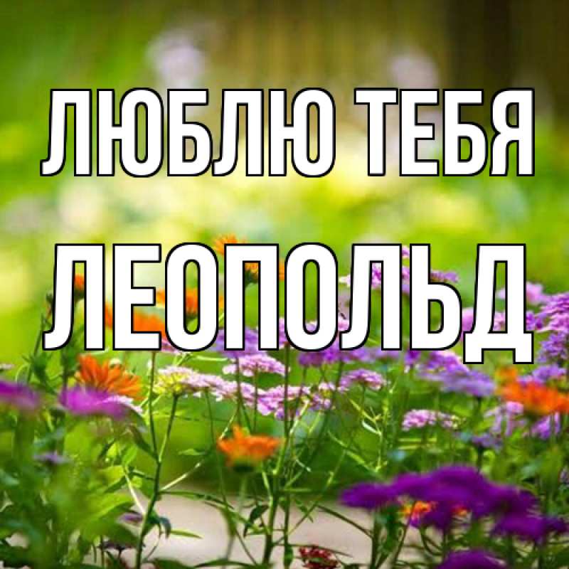 Картинка Люблю тебя, Леопольд