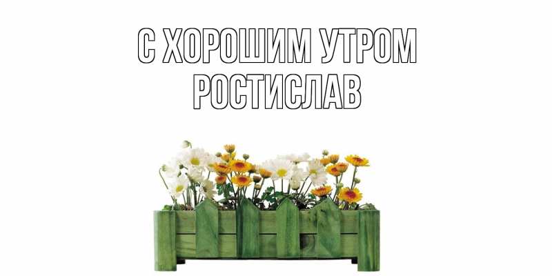 Картинка С хорошим утром, Ростислав