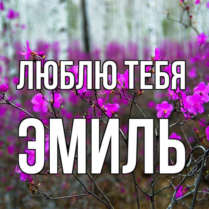 Картинка Люблю тебя, Эмиль