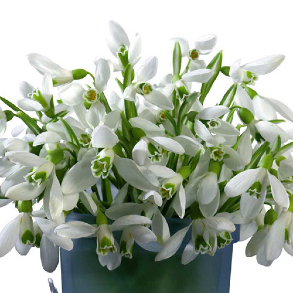 Открытка на каждый день с именем, Аркадий Люблю тебя цветы к международному женскому дню Прикольная открытка с пожеланием онлайн скачать бесплатно 