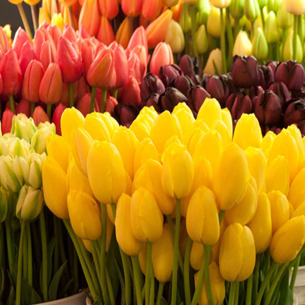 Открытка на каждый день с именем, Эдгар Люблю тебя цветы Прикольная открытка с пожеланием онлайн скачать бесплатно 