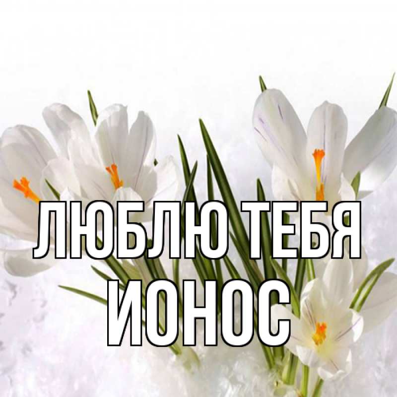 Картинка Люблю тебя, Ионос