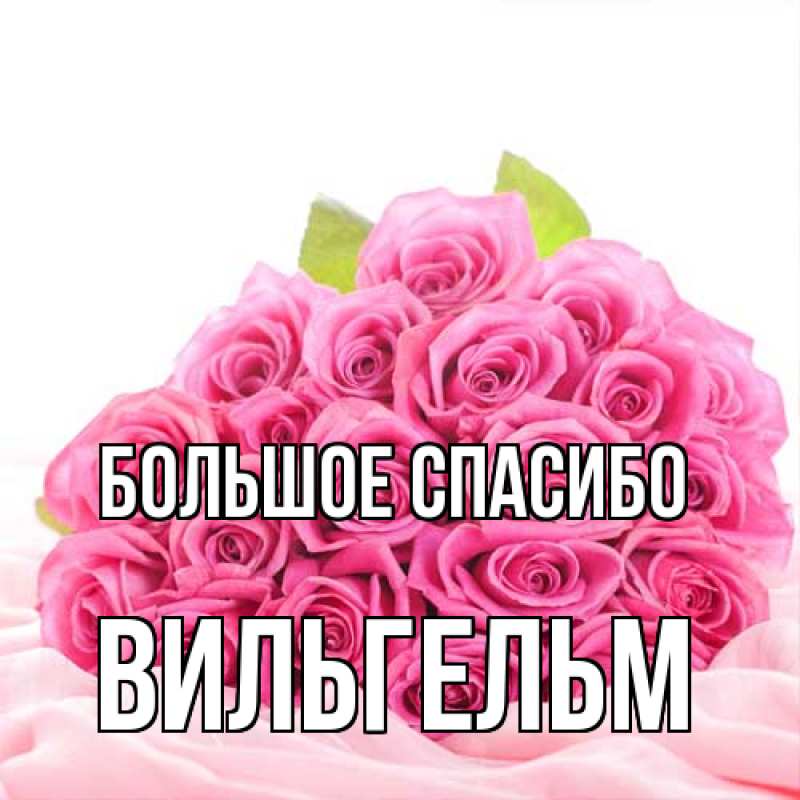 Картинка Большое спасибо, Вильгельм