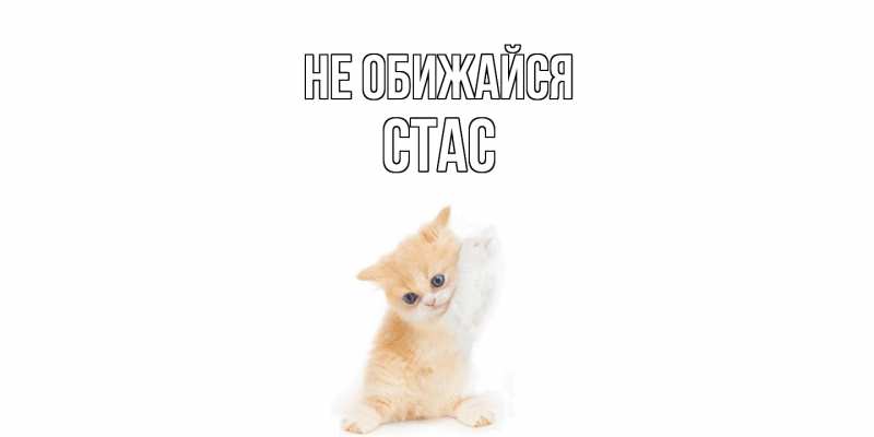 Картинка Не обижайся, Стас