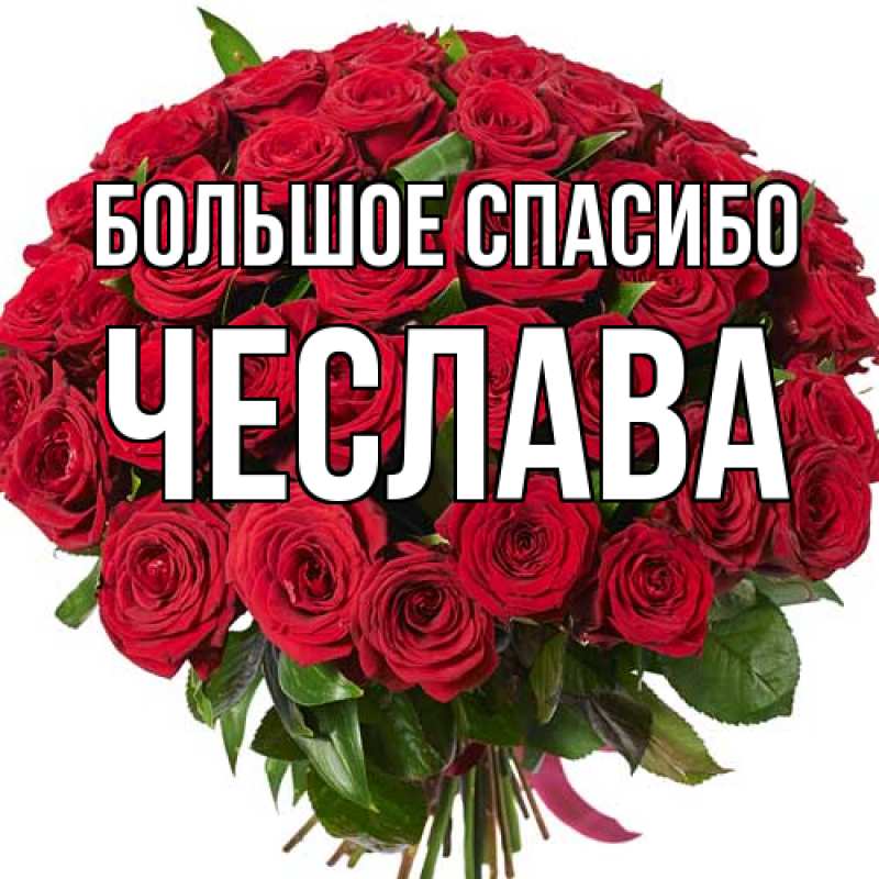 Картинка Большое спасибо, Чеслава