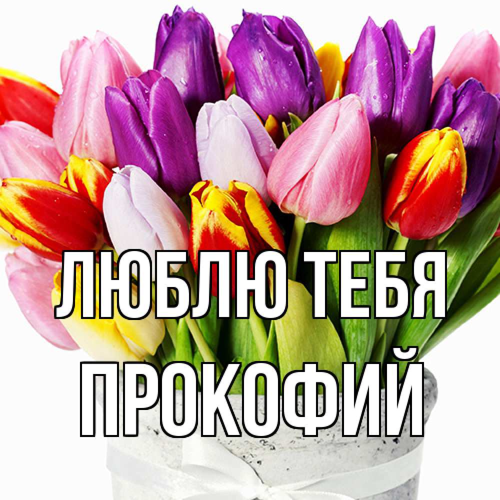 Открытка на каждый день с именем, Прокофий Люблю тебя букет Прикольная открытка с пожеланием онлайн скачать бесплатно 