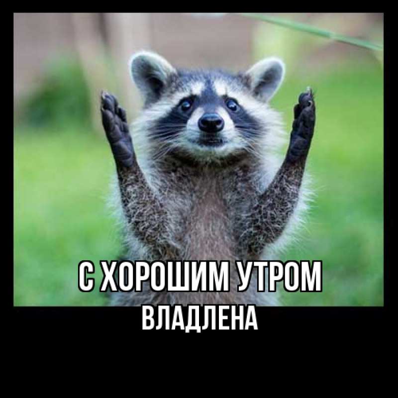 Картинка С хорошим утром, Владлена