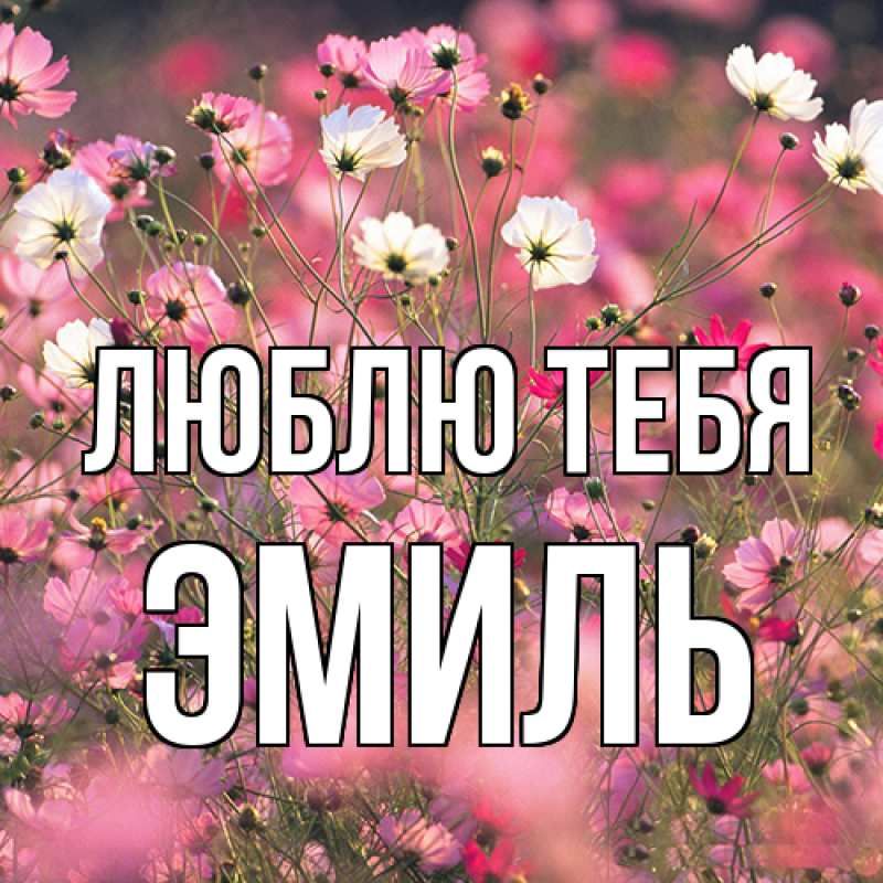 Картинка Люблю тебя, Эмиль