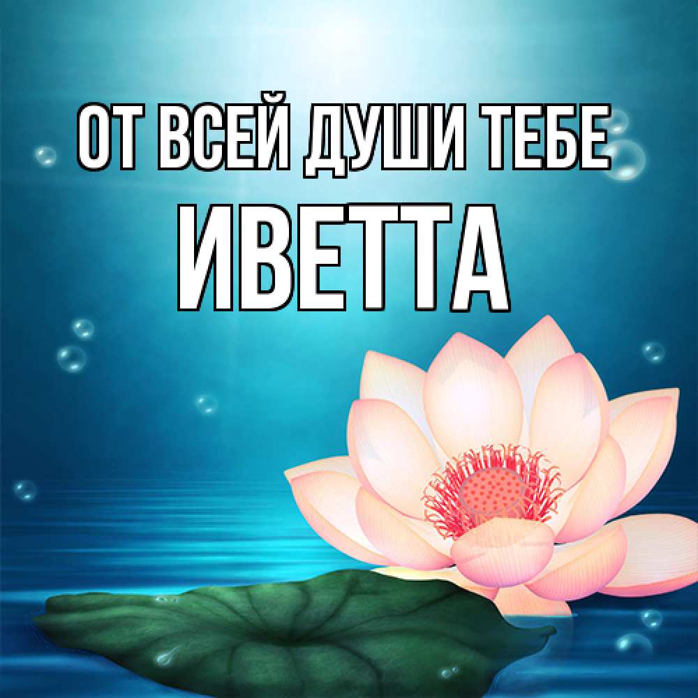 Открытка на каждый день с именем, Иветта От всей души тебе кувшинка Прикольная открытка с пожеланием онлайн скачать бесплатно 