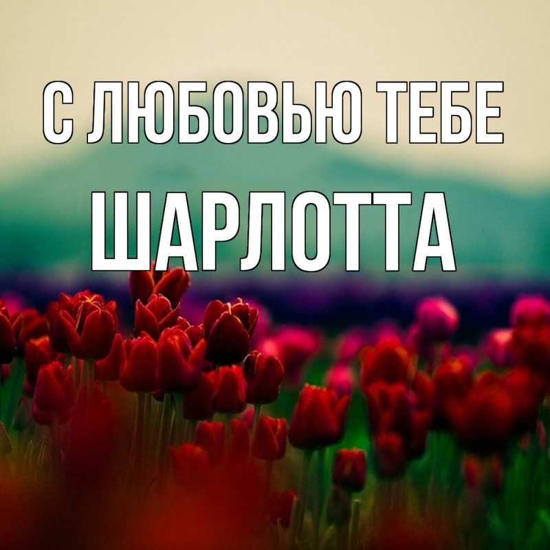 Картинка С любовью тебе, Шарлотта