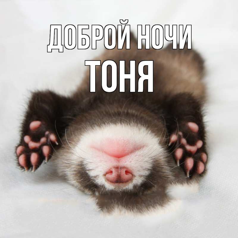 Картинка Доброй ночи, Тоня