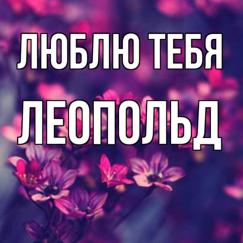 Картинка Люблю тебя, Леопольд