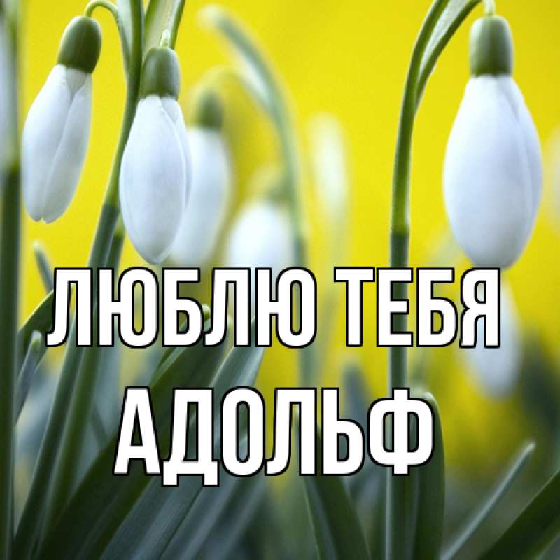 Открытка с именем, Адольф, Люблю тебя