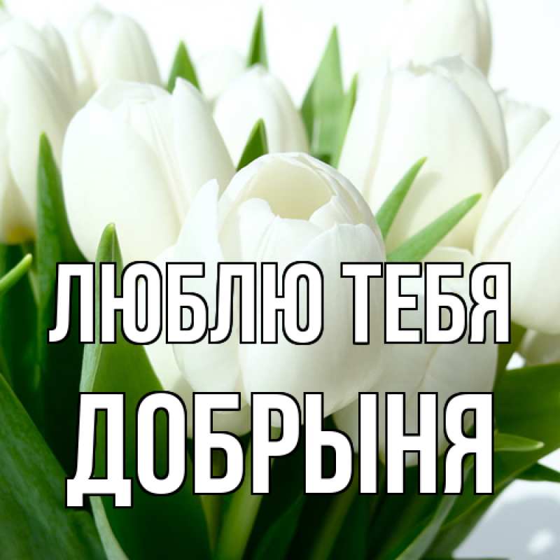 Картинка Люблю тебя, Добрыня