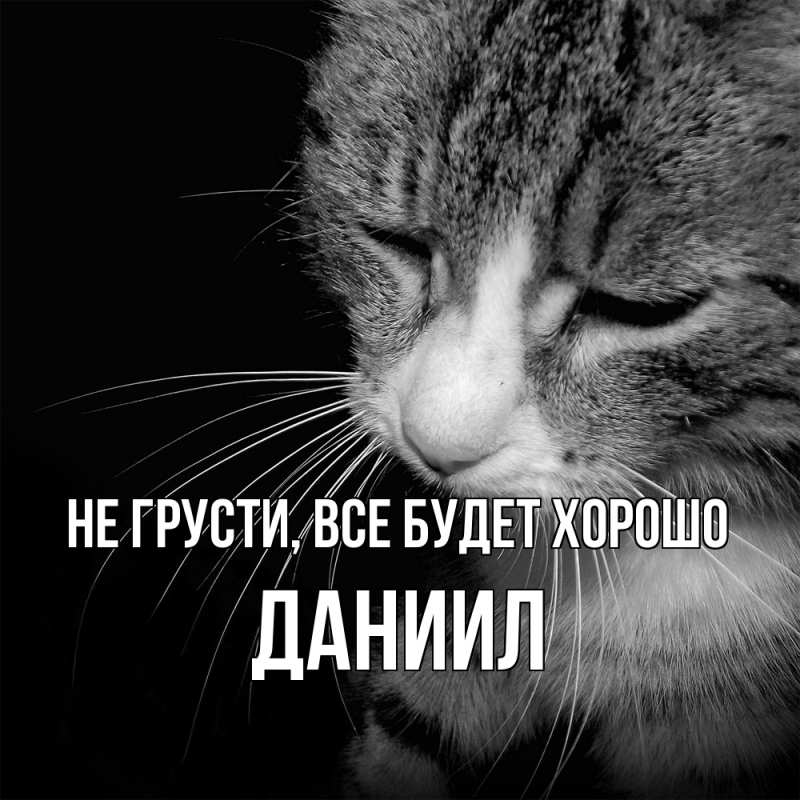 Картинка Не грусти, все будет хорошо, Даниил