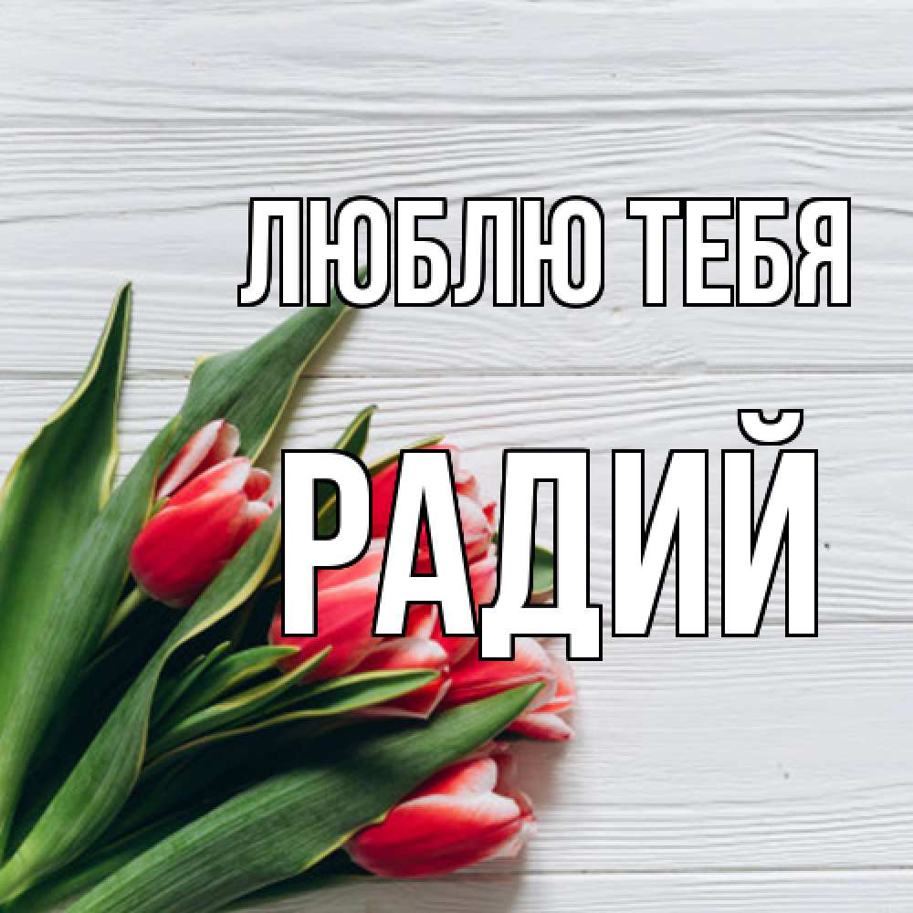 Открытка на каждый день с именем, Радий Люблю тебя весна 2 Прикольная открытка с пожеланием онлайн скачать бесплатно 