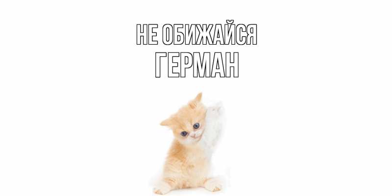 Картинка Не обижайся, Герман