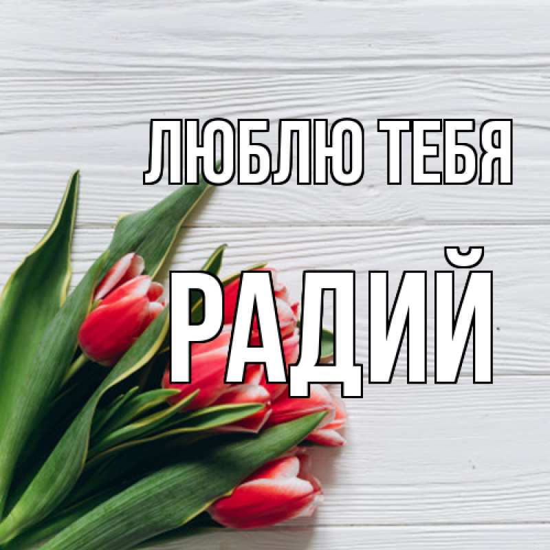 Картинка Люблю тебя, Радий