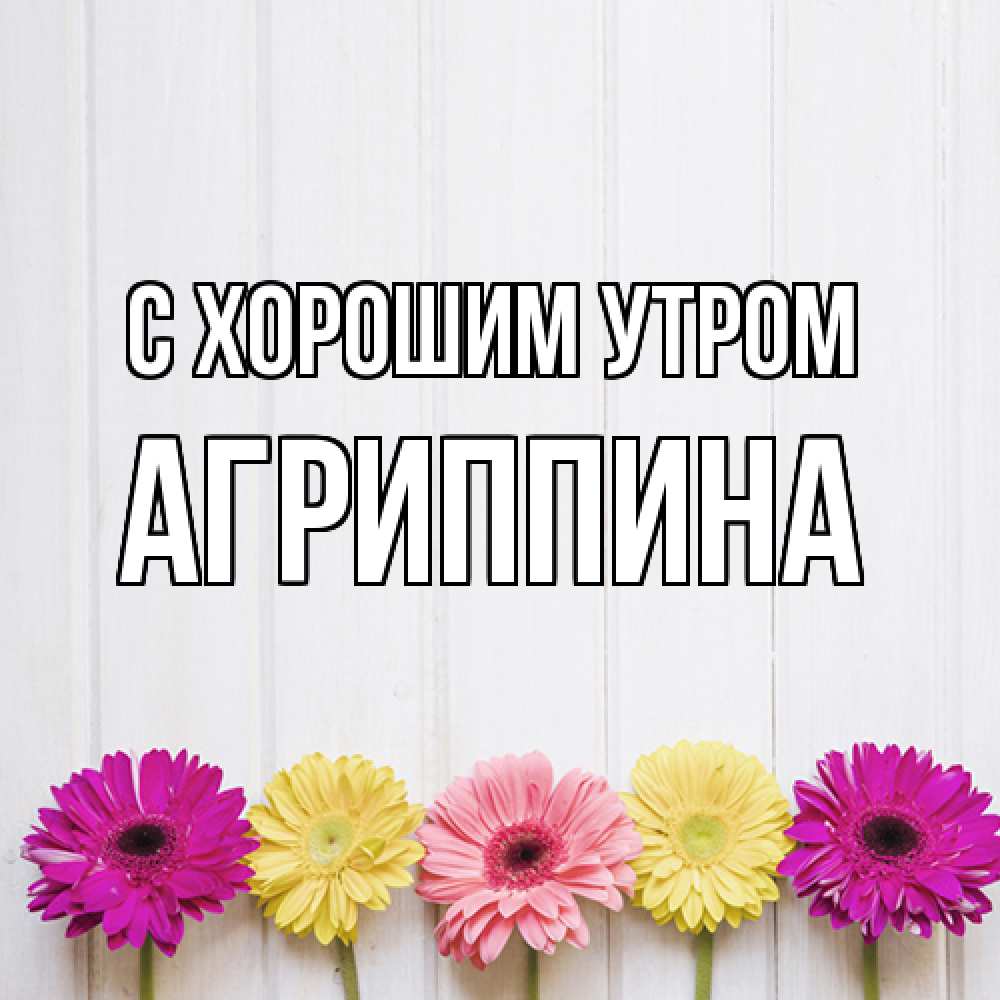 Открытка на каждый день с именем, Агриппина С хорошим утром красный желтый и розовый цветок Прикольная открытка с пожеланием онлайн скачать бесплатно 