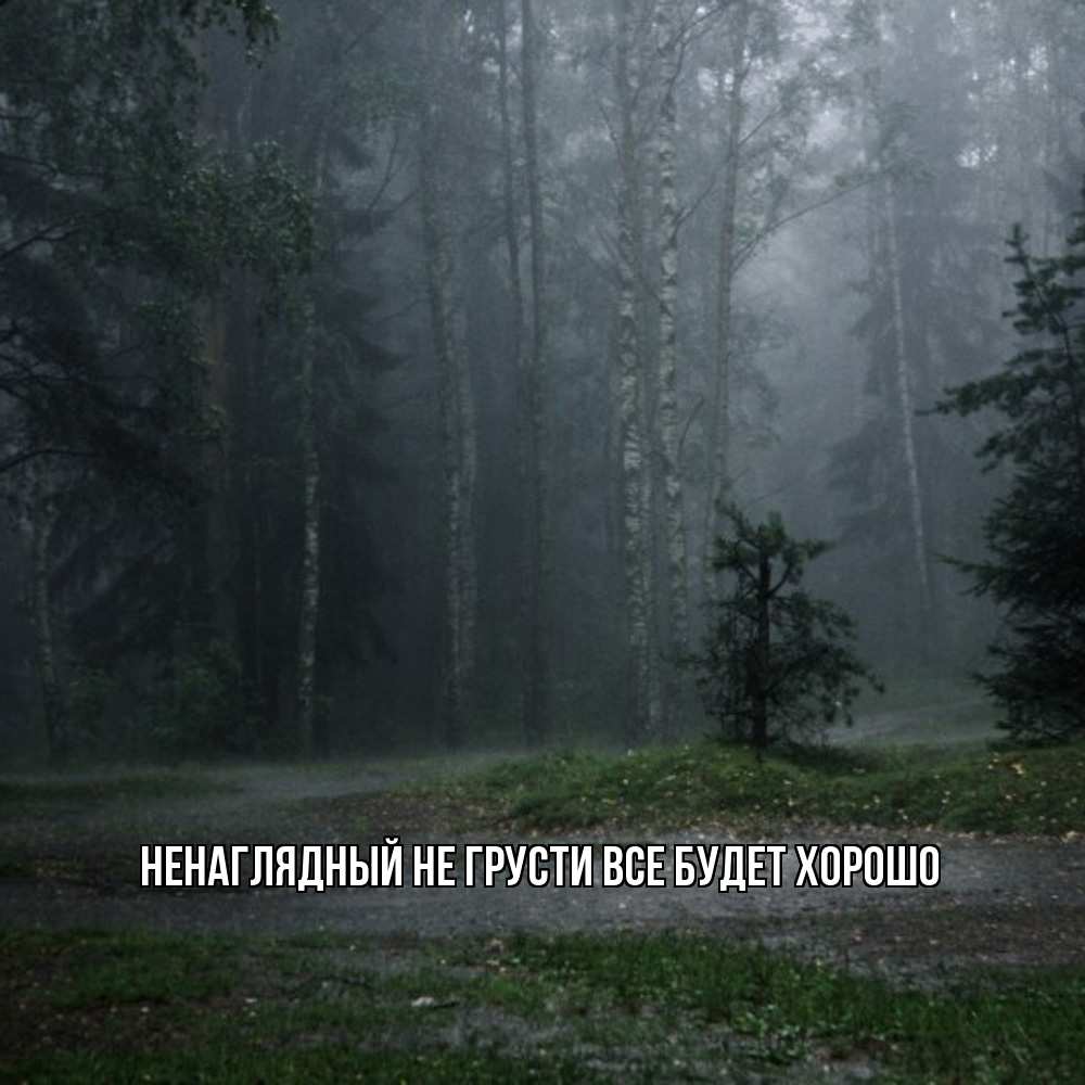 Открытка на каждый день с именем, Ненаглядный Не грусти все будет хорошо осень Прикольная открытка с пожеланием онлайн скачать бесплатно 