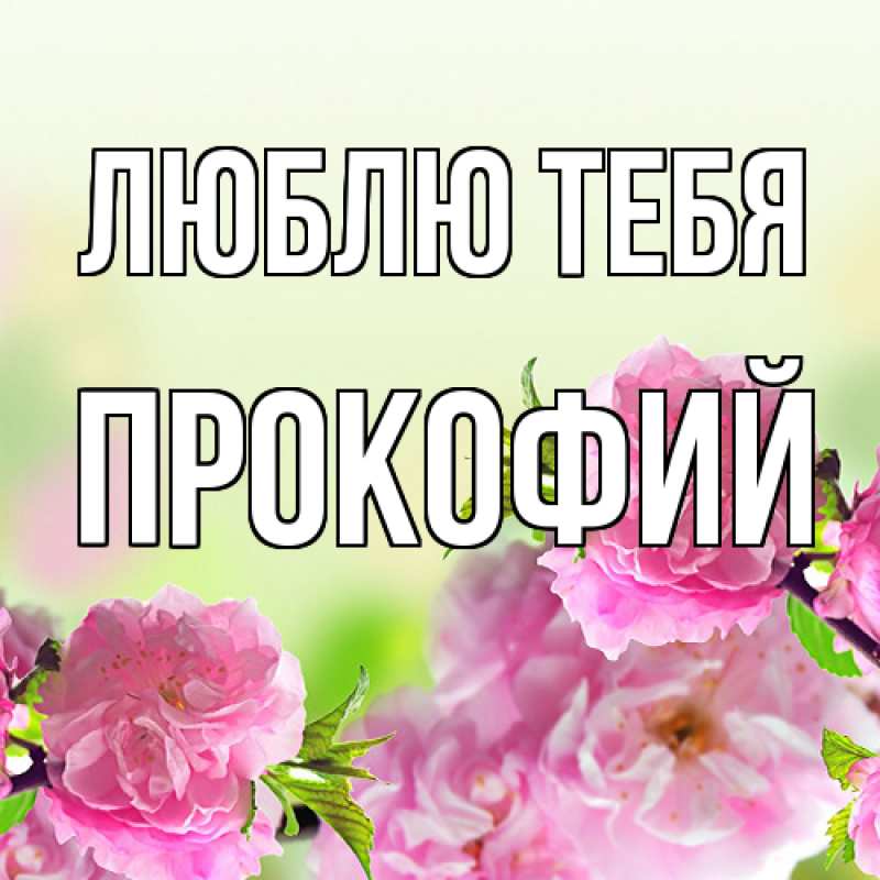 Картинка Люблю тебя, Прокофий