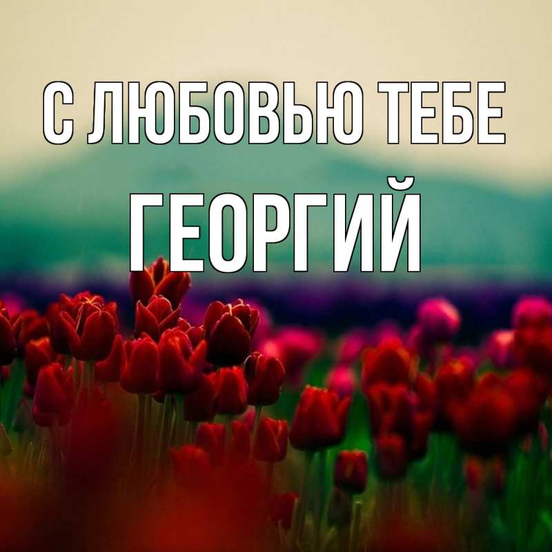Картинка С любовью тебе, Георгий