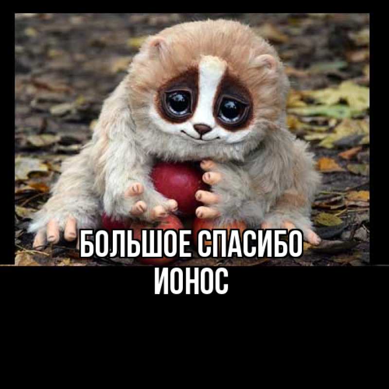 Картинка Большое спасибо, Ионос