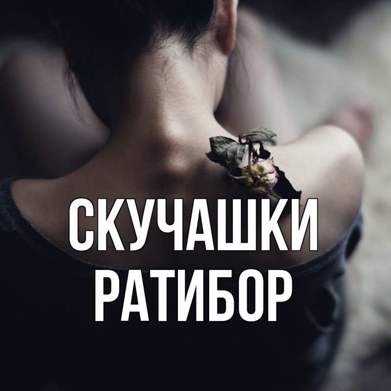 Картинка Скучашки, Ратибор