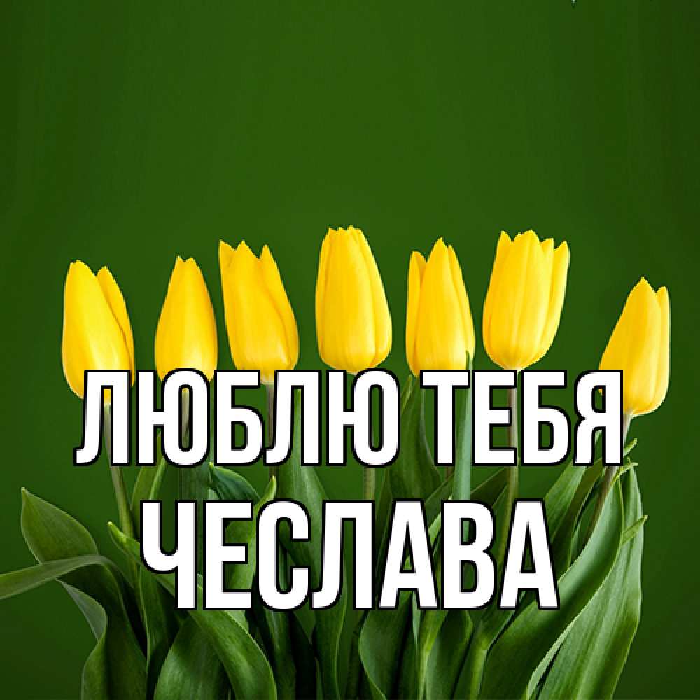 Открытка на каждый день с именем, Чеслава Люблю тебя желтого цвета 3 Прикольная открытка с пожеланием онлайн скачать бесплатно 