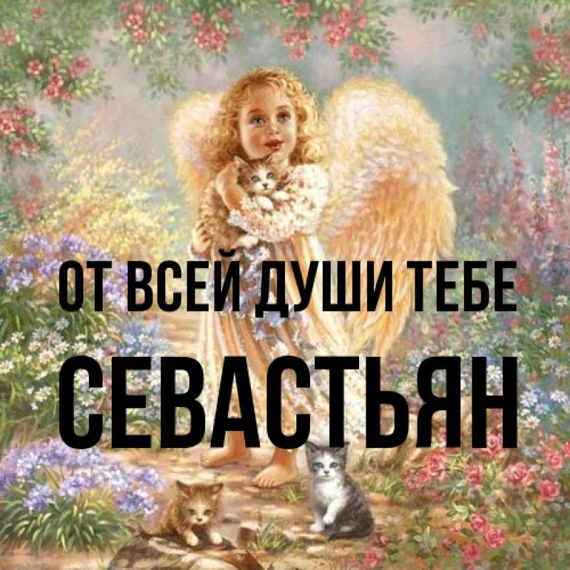 Картинка От всей души тебе, Севастьян