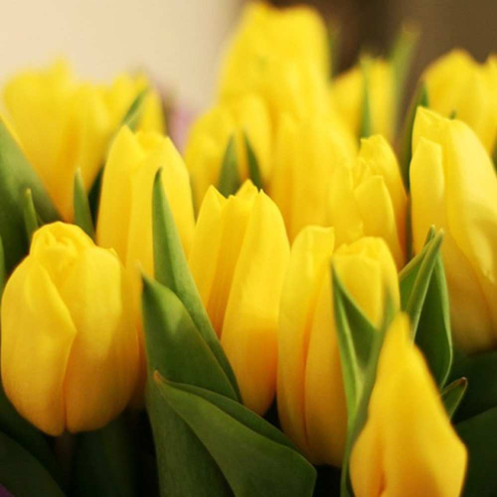 Открытка на каждый день с именем, Иржи Люблю тебя цветы Прикольная открытка с пожеланием онлайн скачать бесплатно 