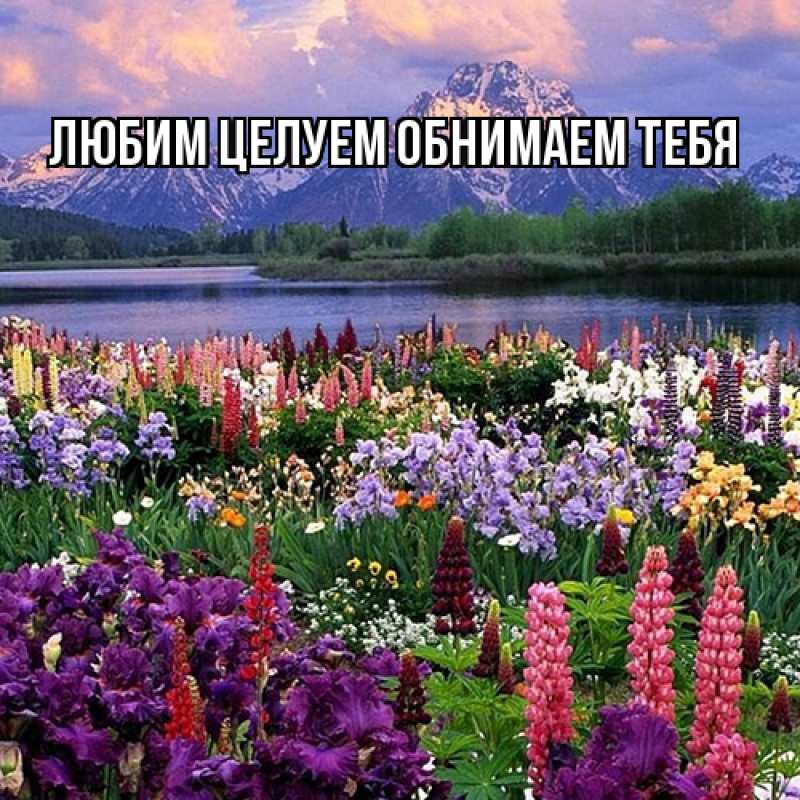 Картинка Люблю тебя, Ненаглядный мой