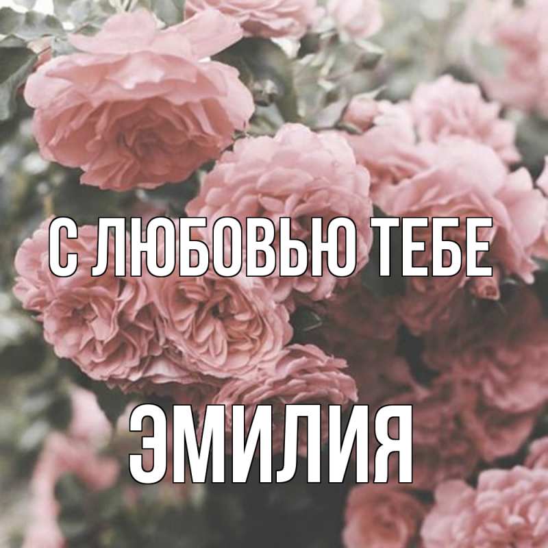 Картинка С любовью тебе, Эмилия