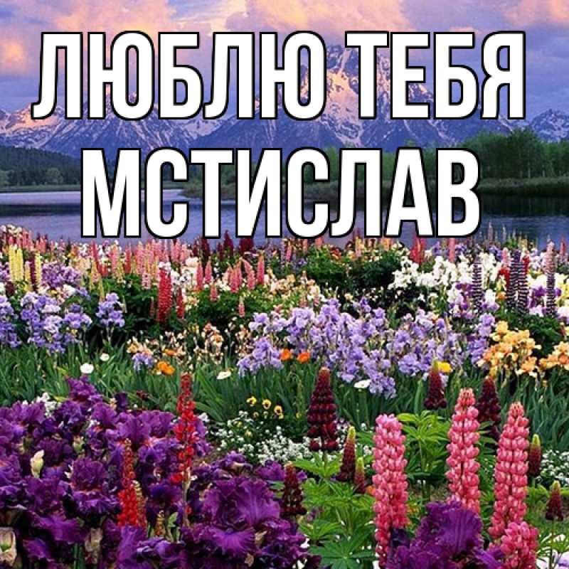 Картинка Люблю тебя, Мстислав