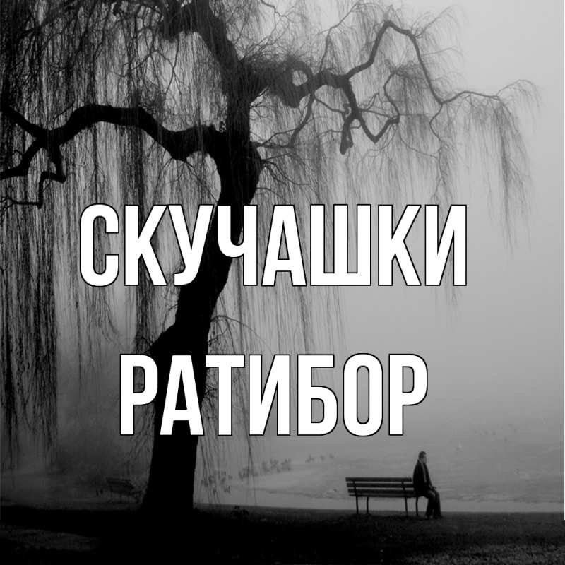 Картинка Скучашки, Ратибор