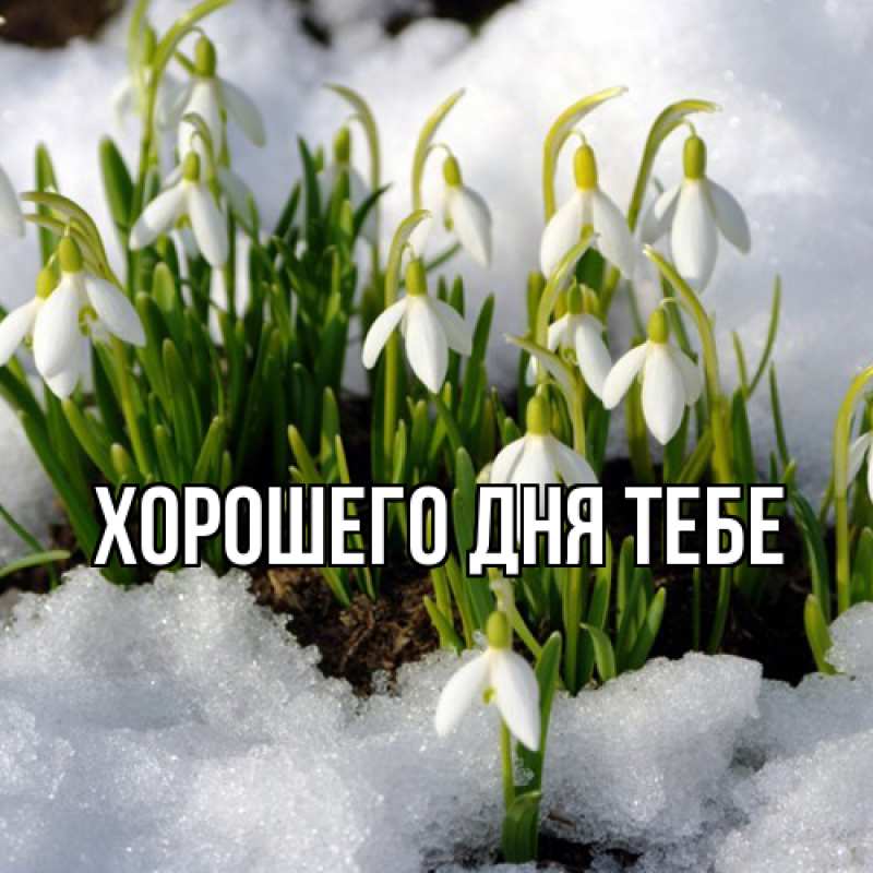 Открытка с именем, Карима, Люблю тебя