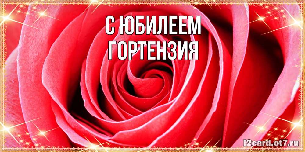 Открытка на каждый день с именем, Гортензия C юбилеем розовая роза очень крупный бутон Прикольная открытка с пожеланием онлайн скачать бесплатно 
