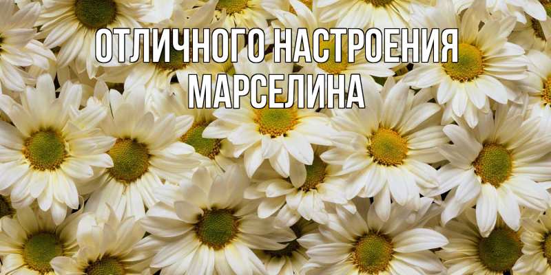 Открытка с именем, Марселина, Отличного настроения
