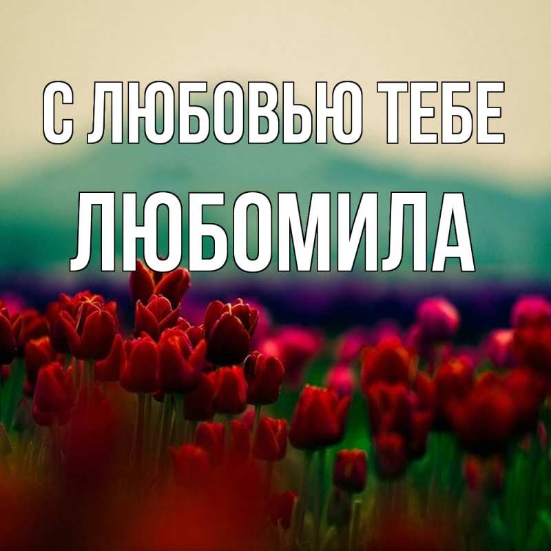 Картинка С любовью тебе, Любомила