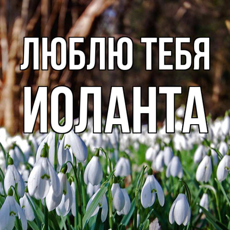 Картинка Люблю тебя, Иоланта