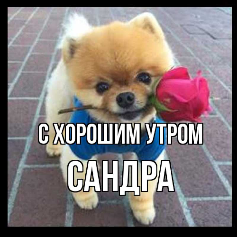 Картинка С хорошим утром, Сандра