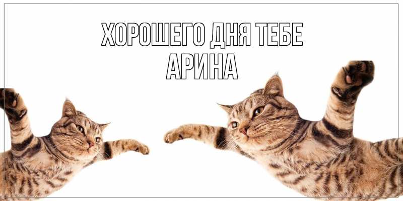 Открытка с именем, Арина, Хорошего дня тебе