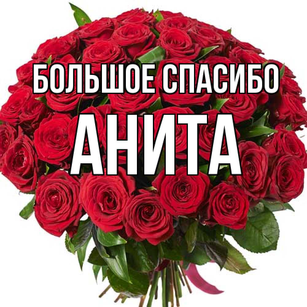 Открытка на каждый день с именем, Анита Большое спасибо букет красных роз Прикольная открытка с пожеланием онлайн скачать бесплатно 