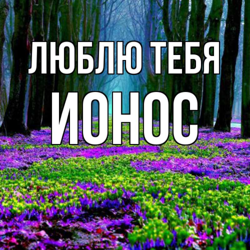 Картинка Люблю тебя, Ионос
