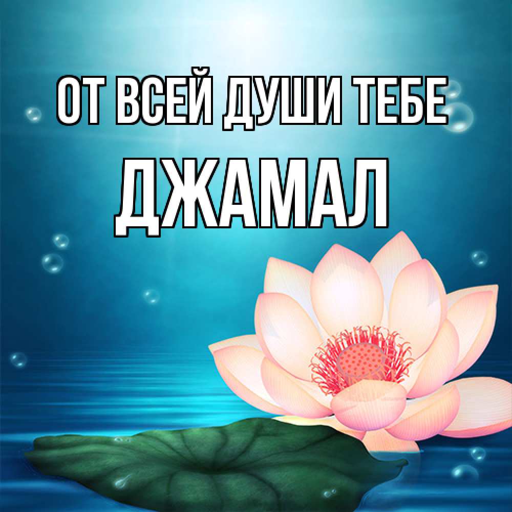Открытка на каждый день с именем, Джамал От всей души тебе кувшинка Прикольная открытка с пожеланием онлайн скачать бесплатно 