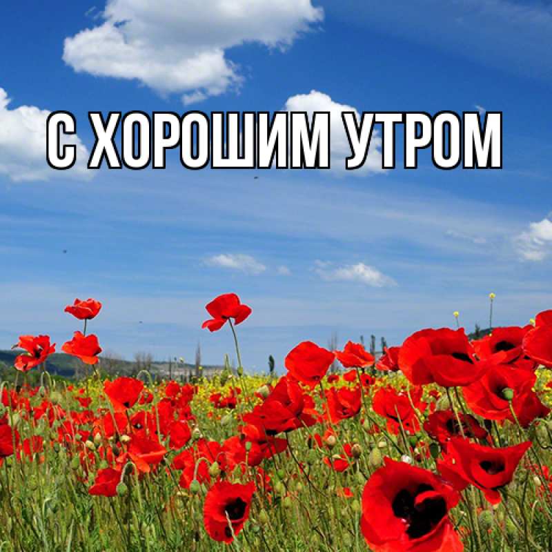 Картинка Люблю тебя, Яким