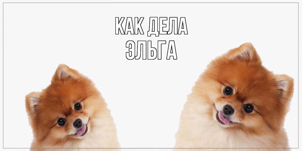 Открытка на каждый день с именем, Эльга Как дела привет Прикольная открытка с пожеланием онлайн скачать бесплатно 