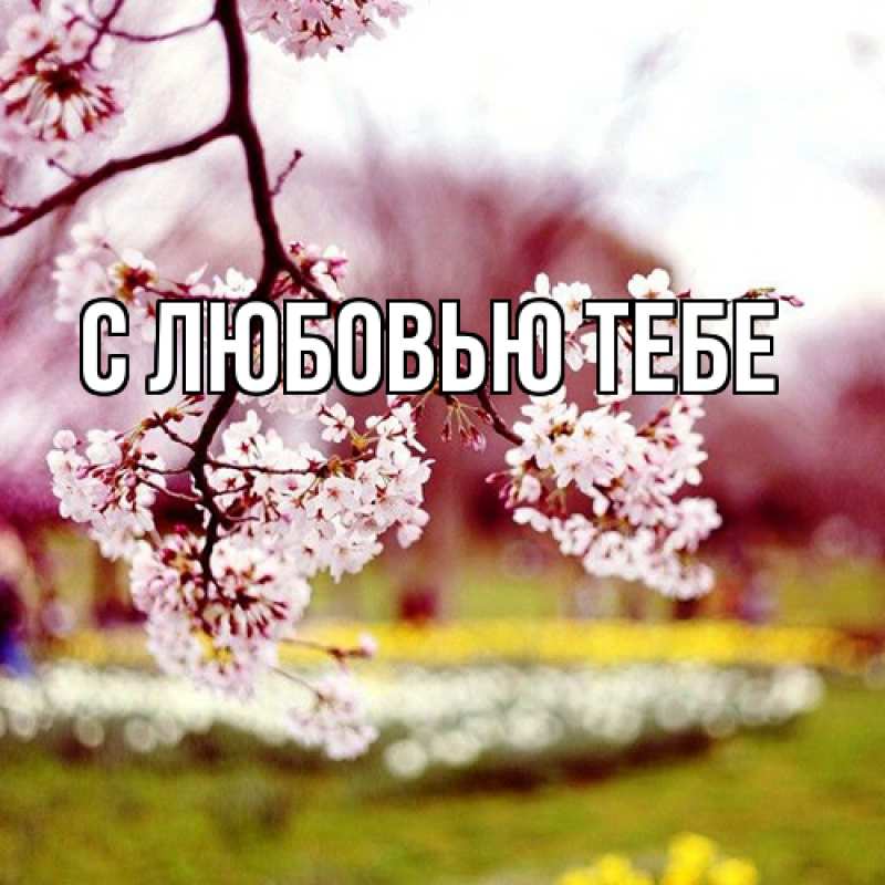 Картинка Люблю тебя, Ева