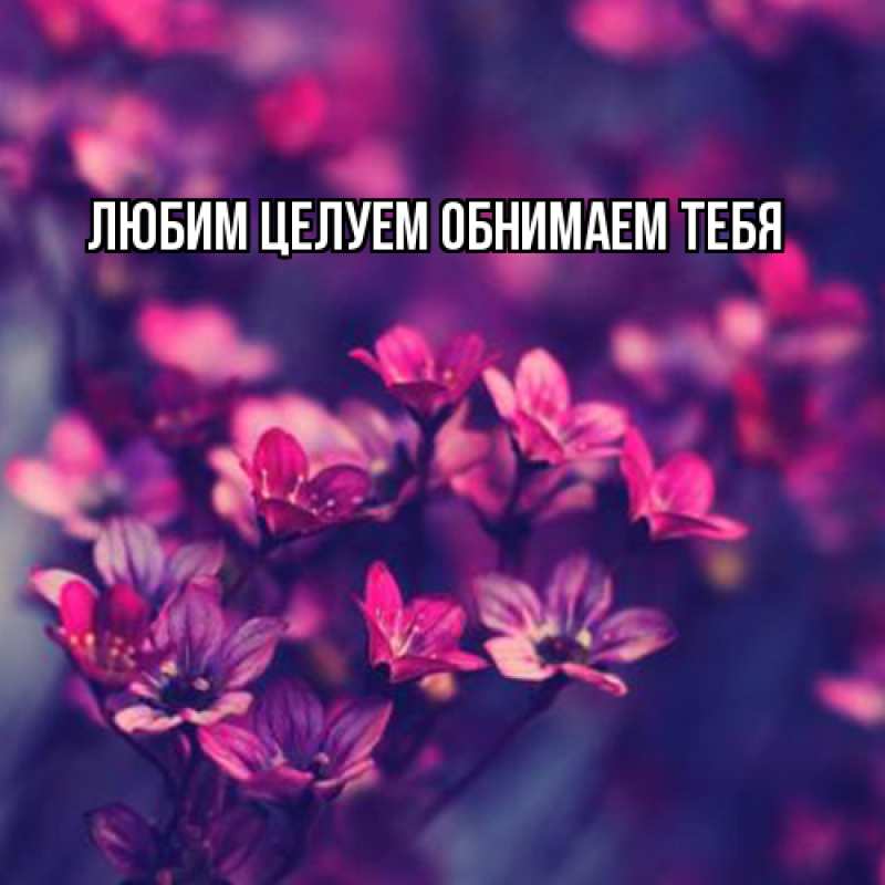 Картинка Люблю тебя, Ненаглядный мой