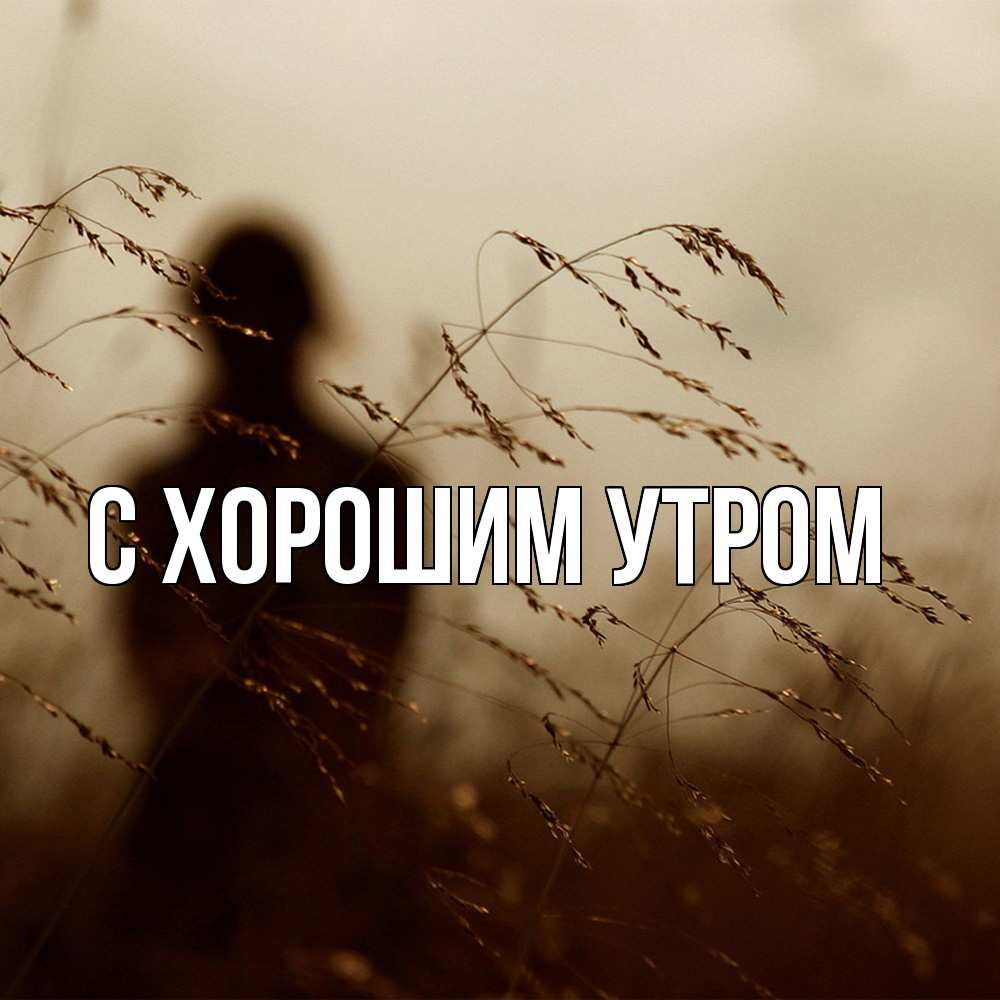 Открытка на каждый день с именем, Дамира Скучашки силуэт девушки Прикольная открытка с пожеланием онлайн скачать бесплатно 